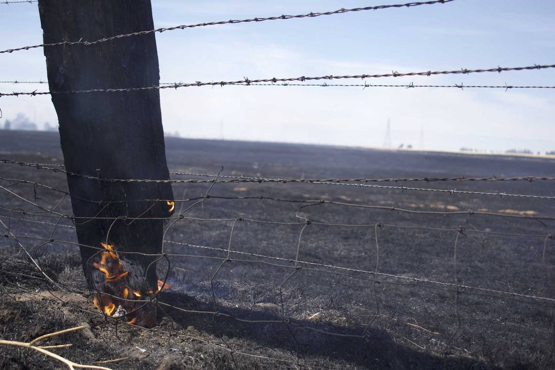 California grass fires may indicate severe wildfire season this summer, experts warn
