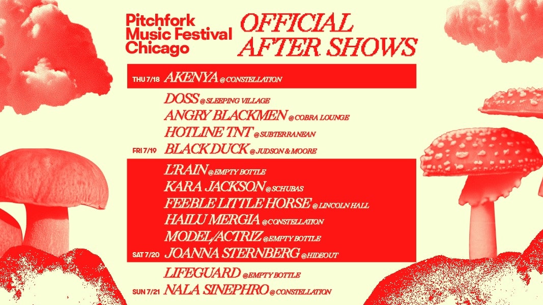 Pitchfork Music Festival 2024 After-Shows Announced