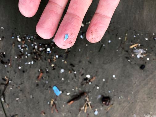How bad are microplastics in New Hampshire?