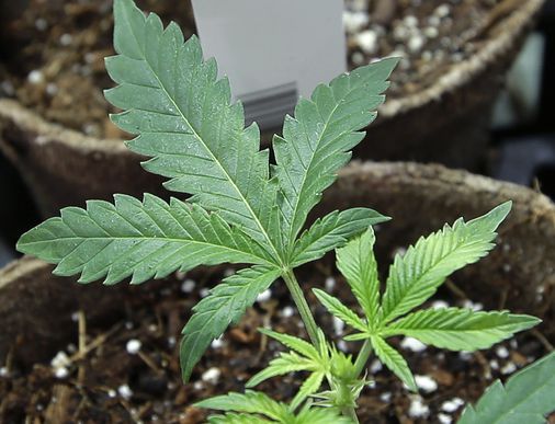 New Hampshire kills bill to legalize recreational marijuana