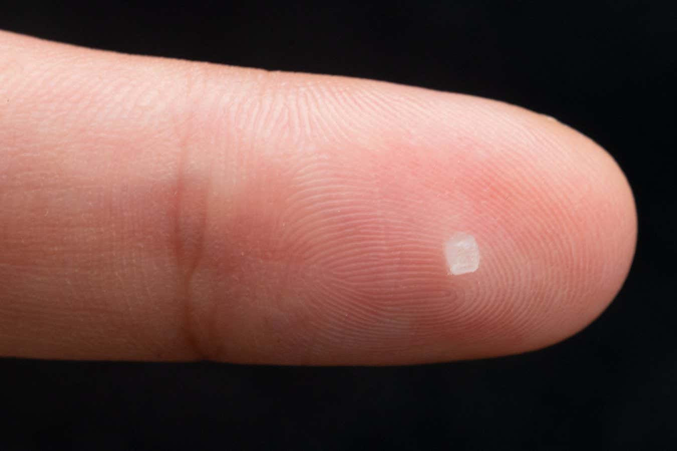 Tiny brain sensor implanted without surgery dissolves after weeks