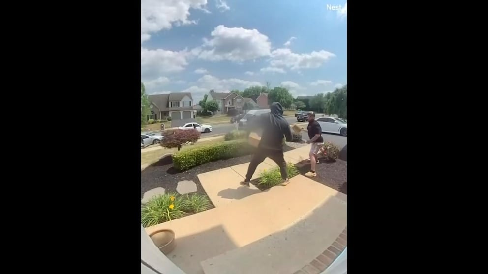 WATCH: Dueling porch pirates