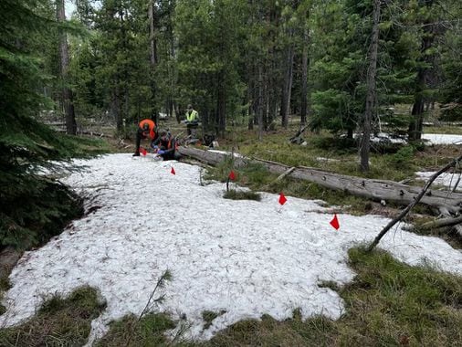 South Hadley man recalls bear attack at Grand Teton in Wyoming