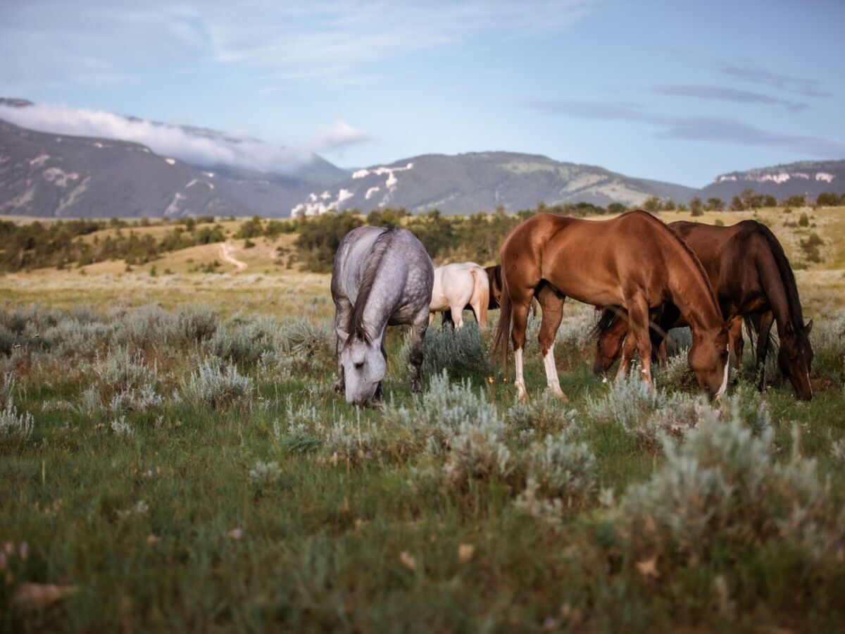 Finding Myself on an Adventurous (and Solo) Wyoming Road Trip