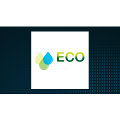 Eco (Atlantic) Oil & Gas (LON:ECO) Stock Price Up 12.8%