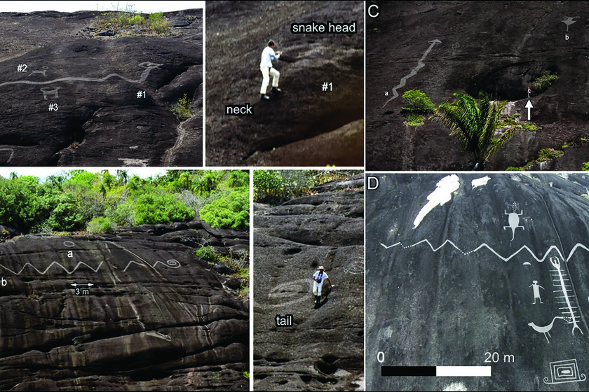 El nuevo hito de la arqueología rupestre está entre Venezuela y Colombia: una serpiente zigzagueante de 42 metros