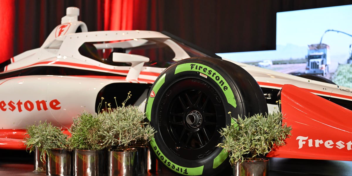 A small shrub used to make IndyCar racing tires could help save rainforests and make deserts greener