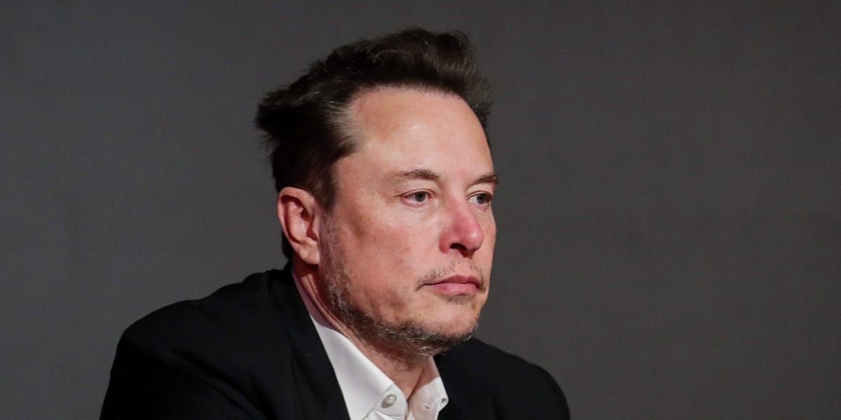 Another Tesla shareholder came out against Elon Musk's multibillion-dollar pay package, saying the billionaire should 'focus on going to Mars'