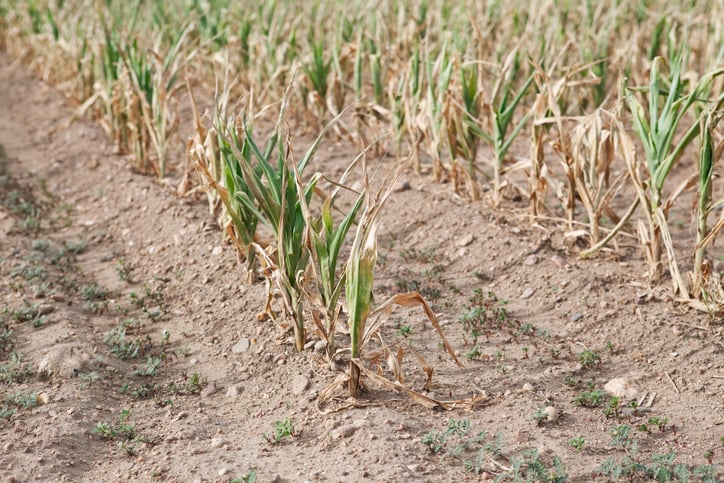 Counties with the worst droughts in Ohio