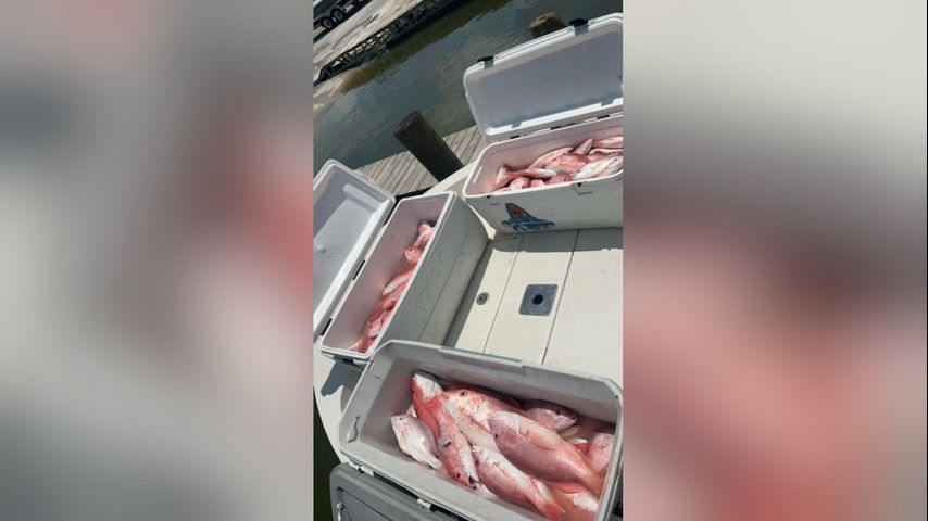 Six people, including five undocumented immigrants, cited in Plaquemines Parish for violating fishing laws