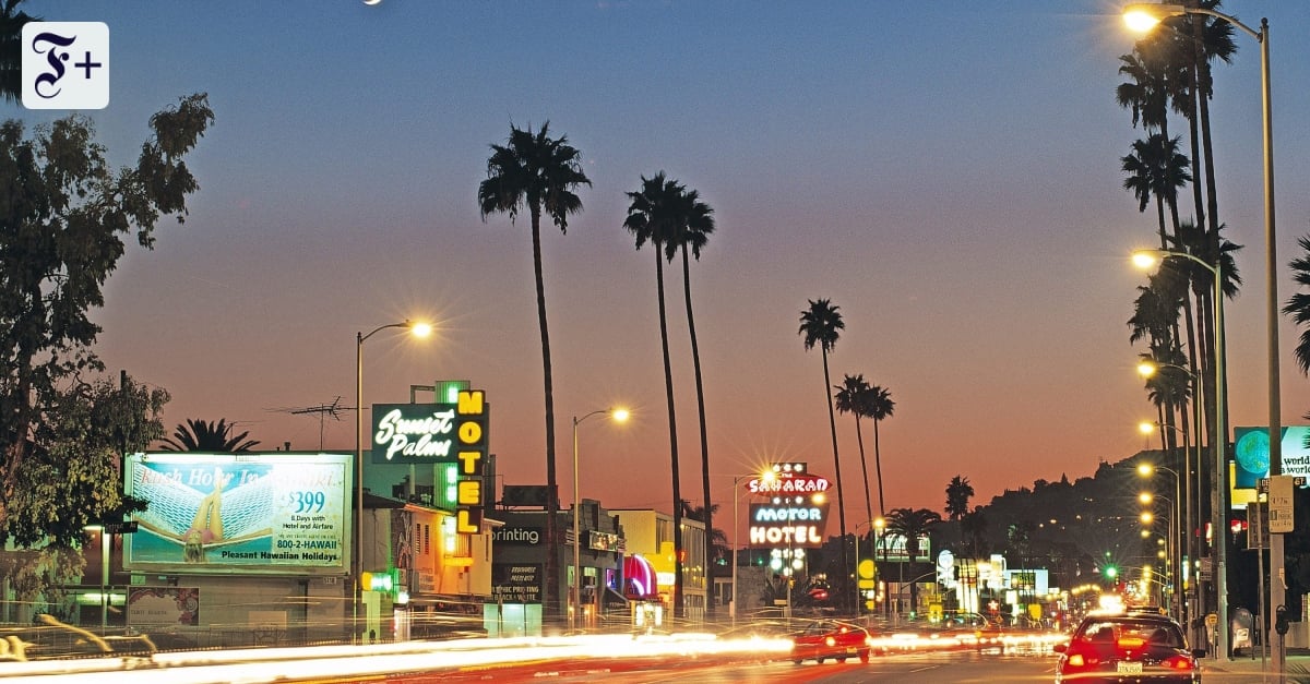 Unter den Kronen des Sunset Boulevard: L.A. streitet über seine Palmen