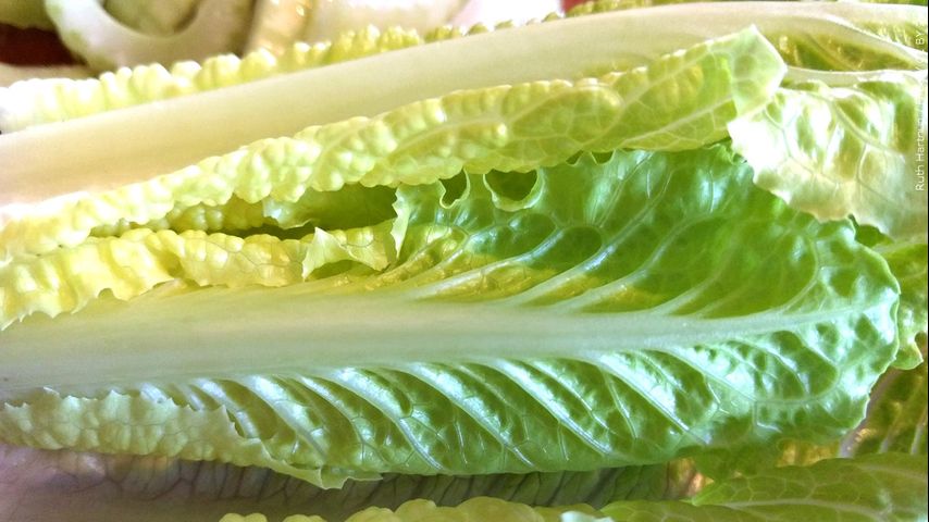 Caesar salad, invented in Mexico by Italian immigrants, is still pleasing palates after 100 years