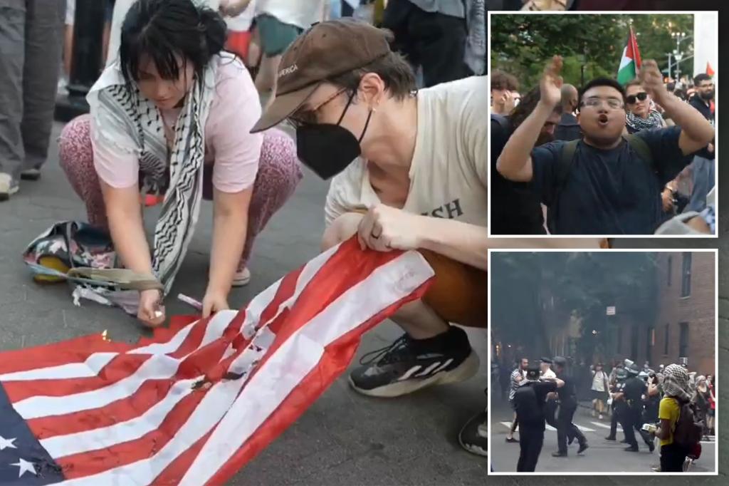 Anti-Israel protesters burn US flag on July 4th in NYC