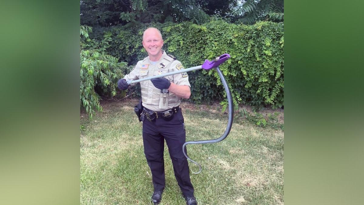 Goodwill employees got more than they bargained for after finding hidden 4-foot-long snake in book box