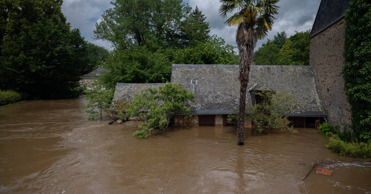 Inondations dans le Maine-et-Loire : «On est habitués aux crues. Mais c’était des crues d’hiver, là on est désorientés»