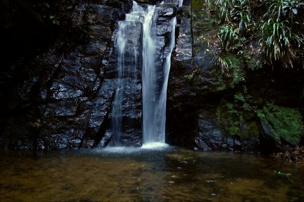 Cachoeiras do Horto (Horto Waterfalls) in Rio de Janeiro, Brazil