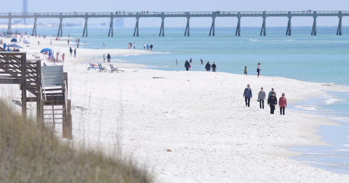 Florida Authorities Warn of Shark Dangers Along Gulf Coast After Three People Are Attacked