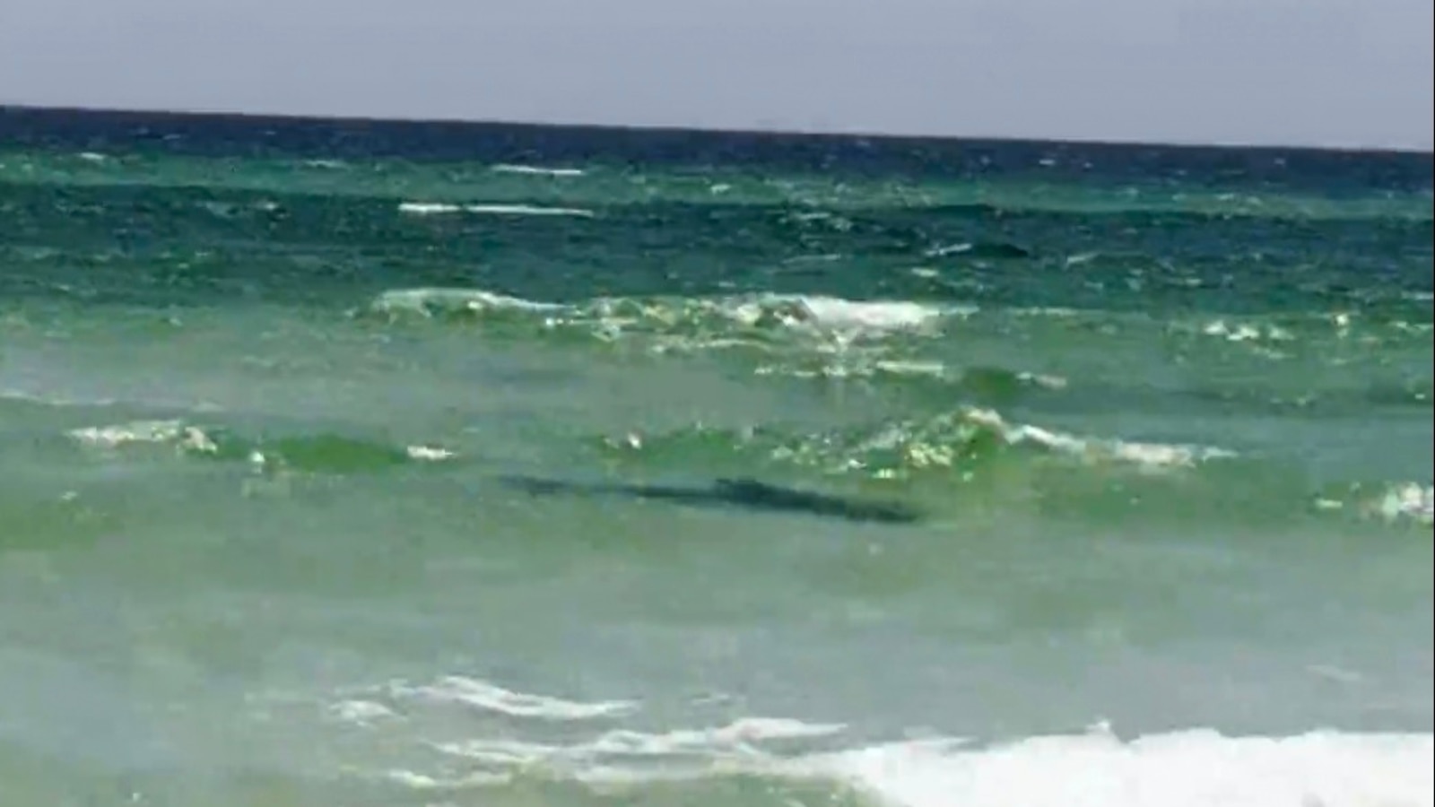 3 swimmers attacked by sharks off Florida panhandle