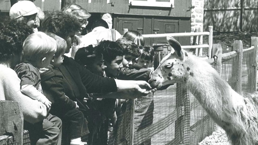 WATCH: Philadelphia Zoo celebrates 150th anniversary as the first zoo in America