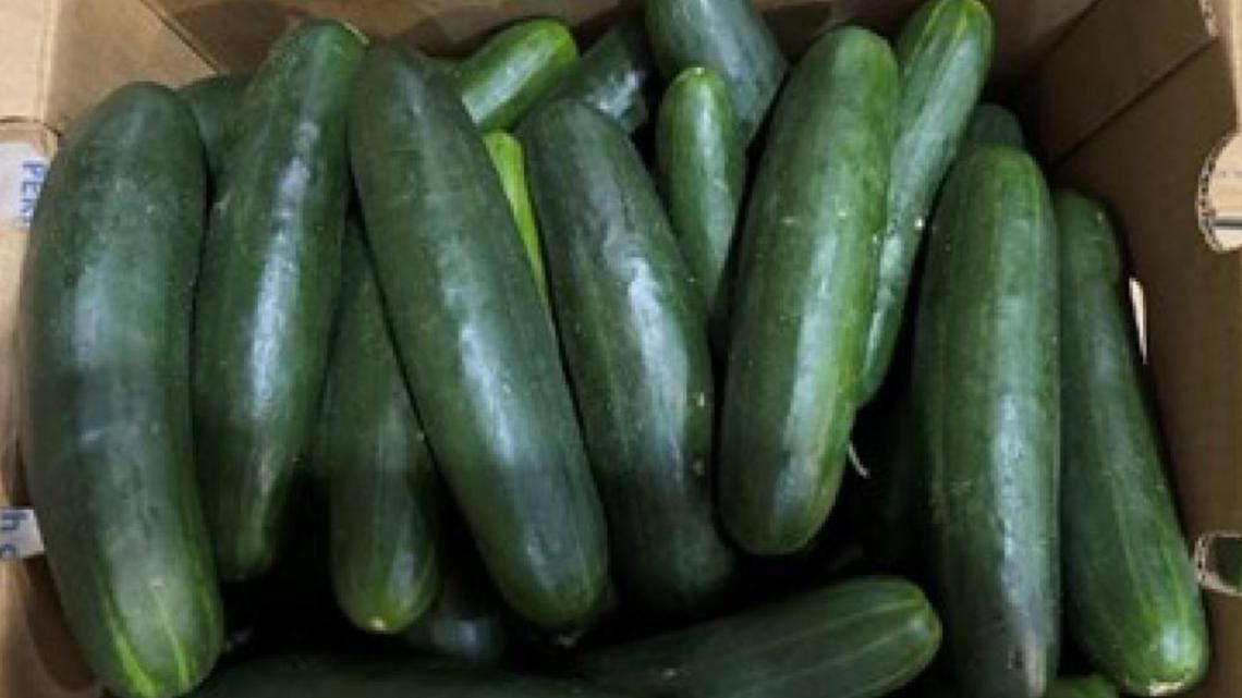Cucumber salmonella outbreak: CDC, FDA identifies a likely source