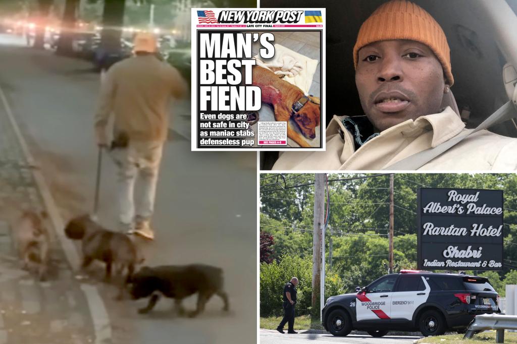 Dog owner wrapped up in Central Park pooch stabbing killed in police shootout in New Jersey