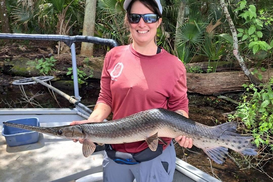 Florida researchers find unusual crooked fish in Silver Glen Springs