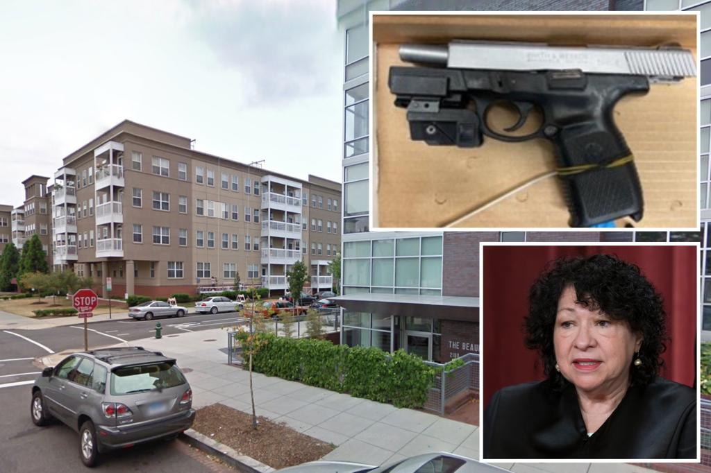 Supreme Court Justice Sotomayor's bodyguards shoot would-be carjacker outside her home