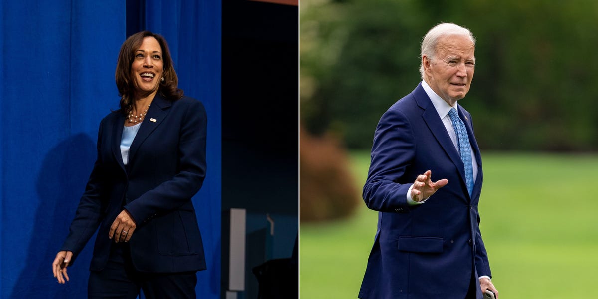 Kamala Harris won't save Democrats if she takes over for Biden, warns historian who correctly predicted 9 of the last 10 elections