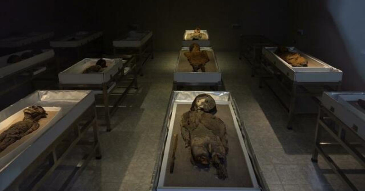 The race to save the world's oldest mummies