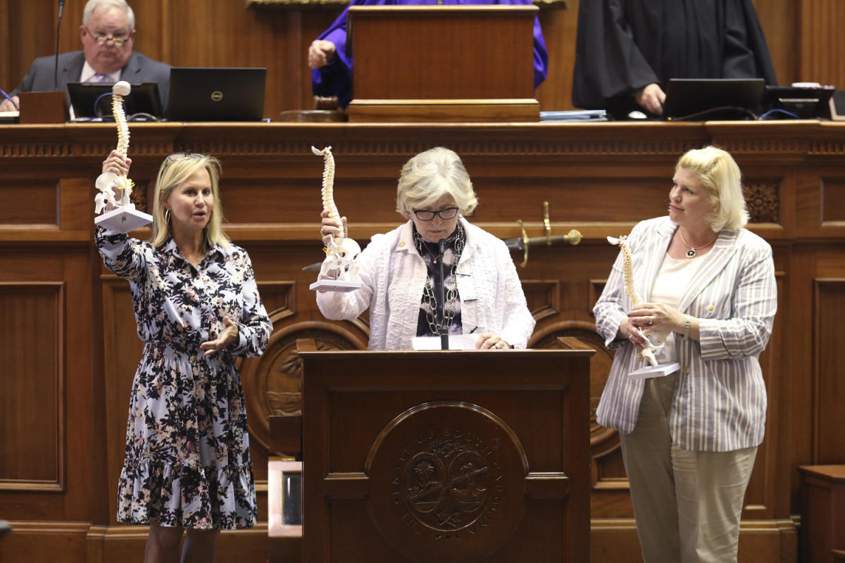 Three female GOP state senators who filibustered S.C. abortion ban lost their primaries