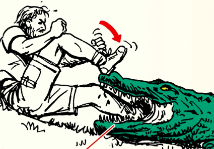 Skill of the Week: Survive an Alligator Attack