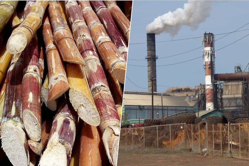 Cuba afronta la mayor crisis existencial de su economía: el colapso de la industria del azúcar