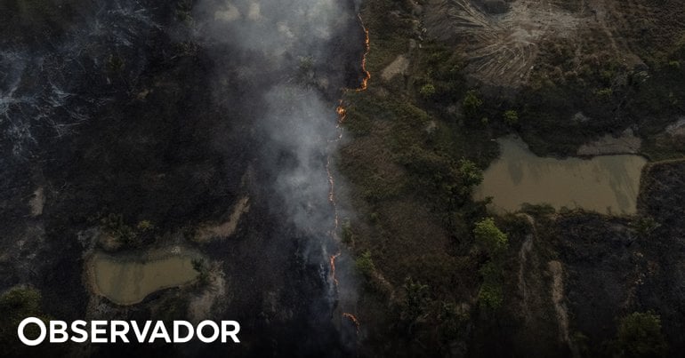 Brasil avança para criação de um centro regional de segurança da Amazónia