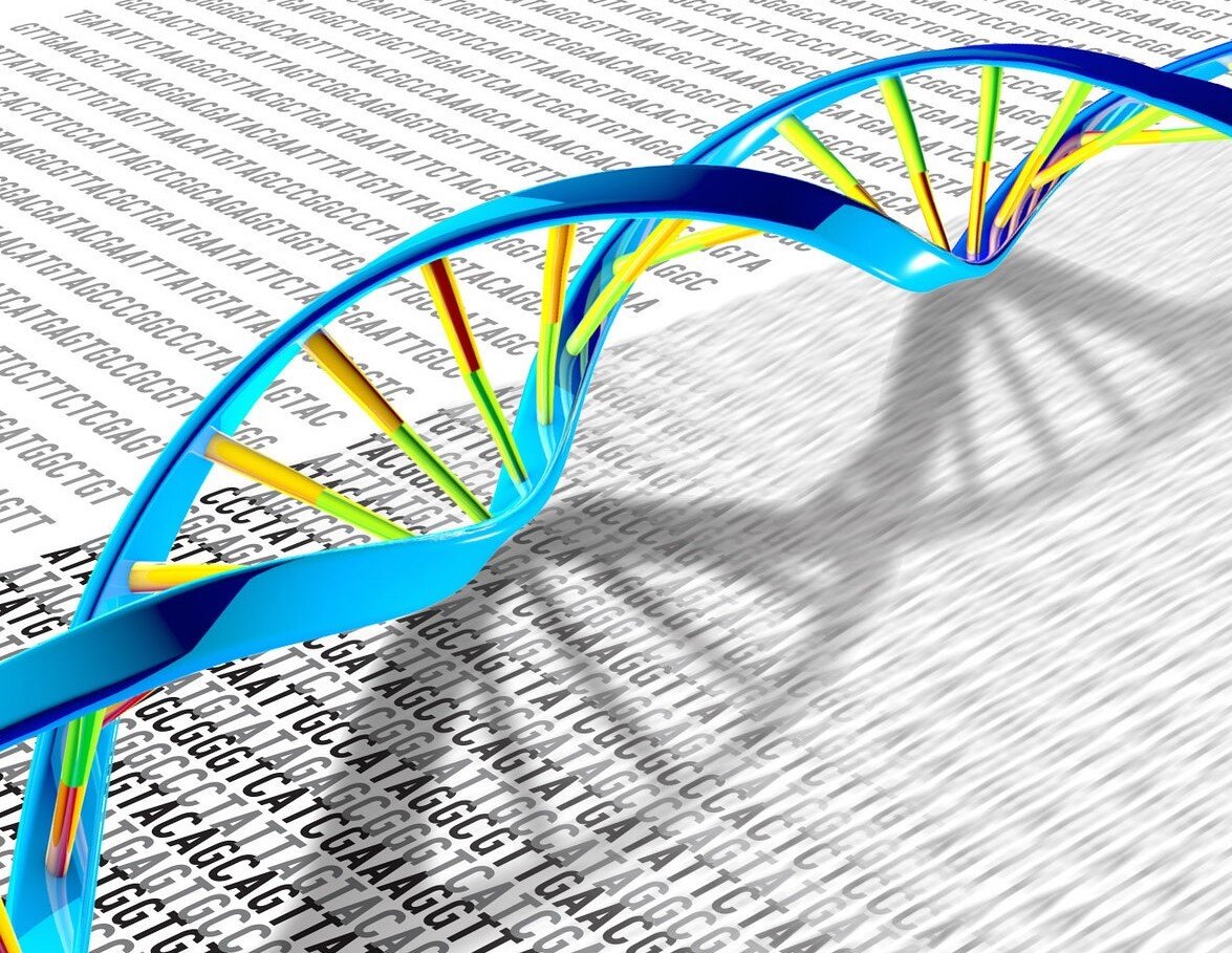 What is forensic genetic genealogy? Technique used in Rachel Morin case is scantly regulated