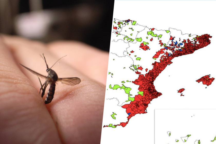 España tiene un problema con los mosquitos y ya hay 100.000 personas en Sevilla que han empezado a darse cuenta
