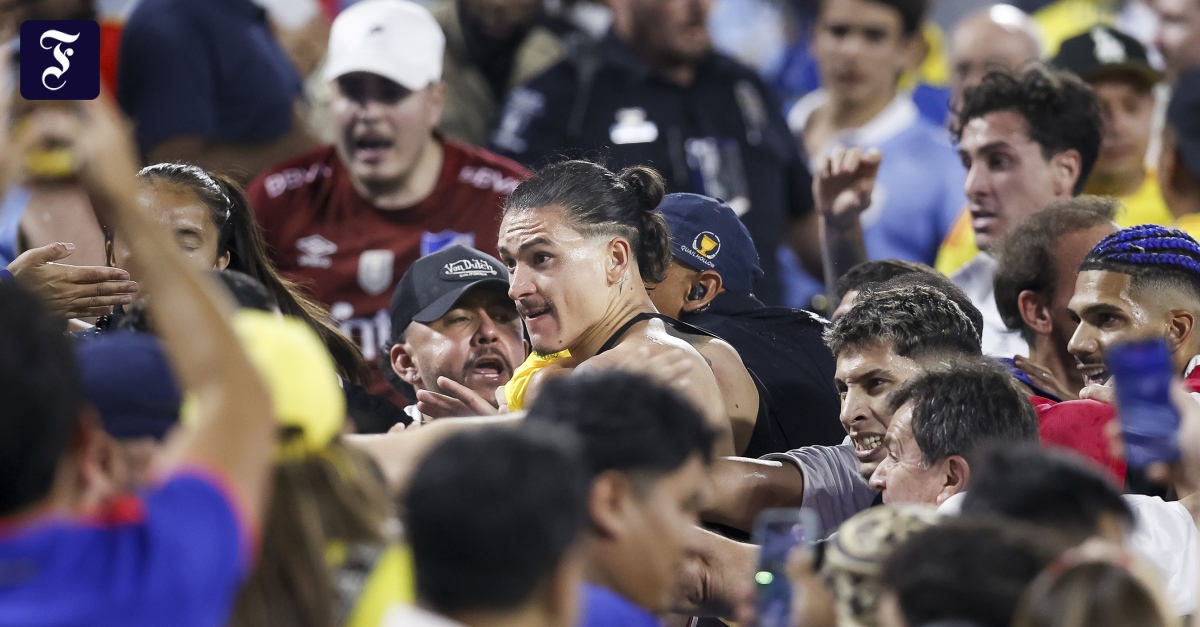 „Das ist eine Katastrophe“: Fußball-Stars prügeln sich mit Fans auf Tribüne