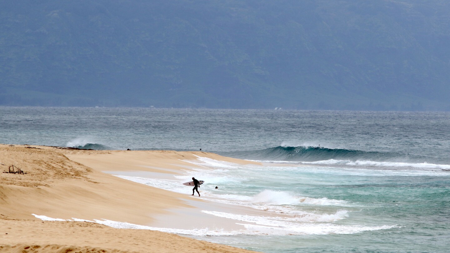 Hawaii lifeguard dies in shark attack while surfing off Oahu...