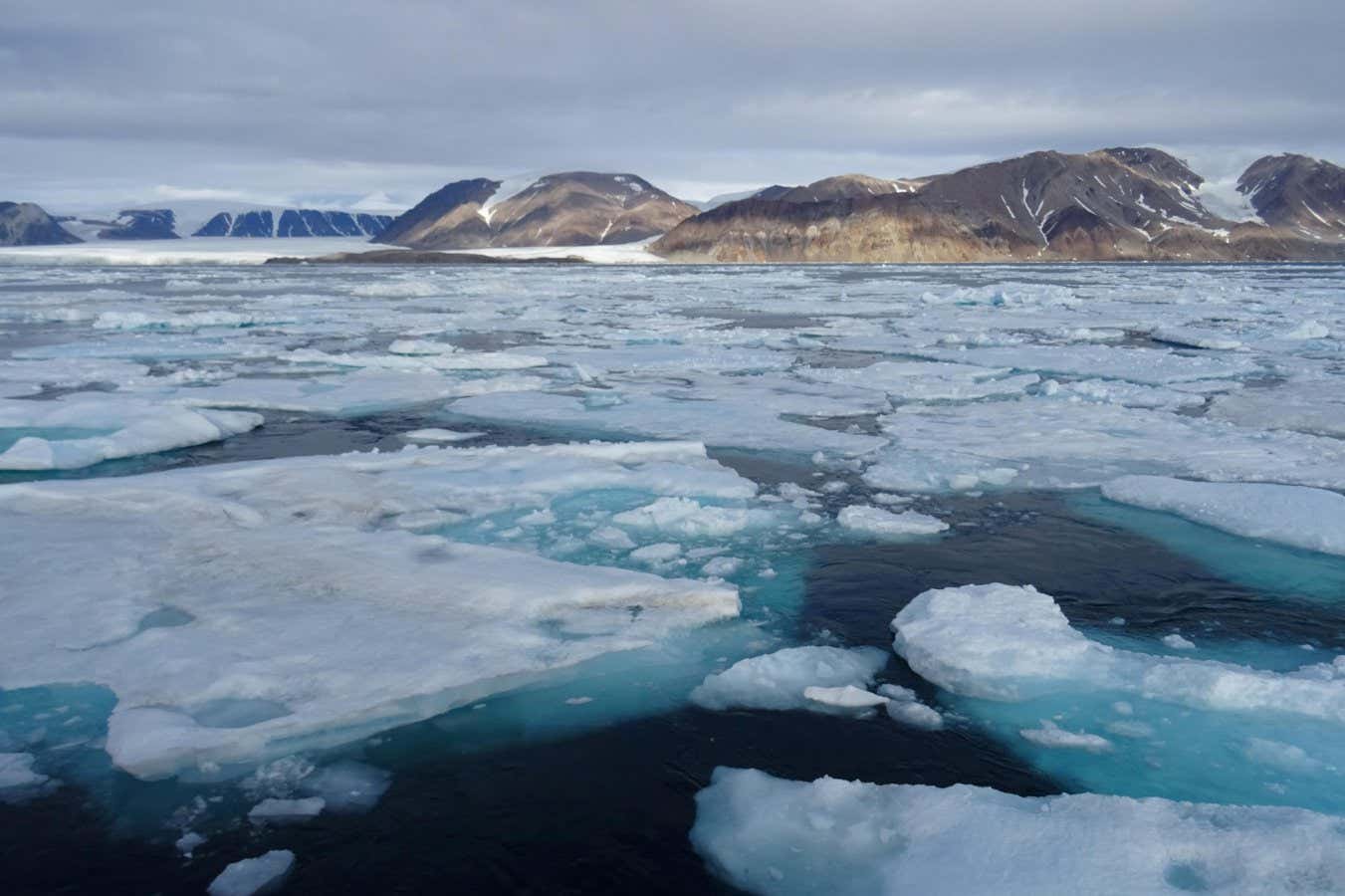 Melting sea ice is hindering, not helping, Canadian Arctic shipping