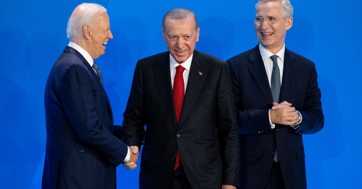 Turkey committed to NATO but skeptical of alliance's future under incoming chief