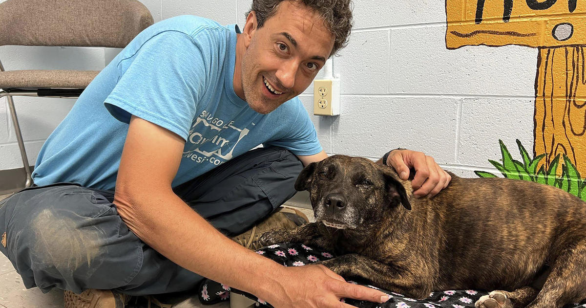 "Miracle" dog found alive over 40 feet down in Virginia cave, lured out by salami