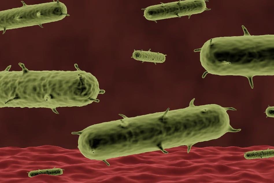 Colorado health officials confirm case of human plague