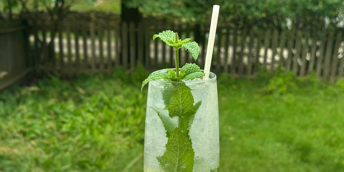 Welcome To Wonkette Happy Hour, With This Week's Cocktail, The Slow Mojito!