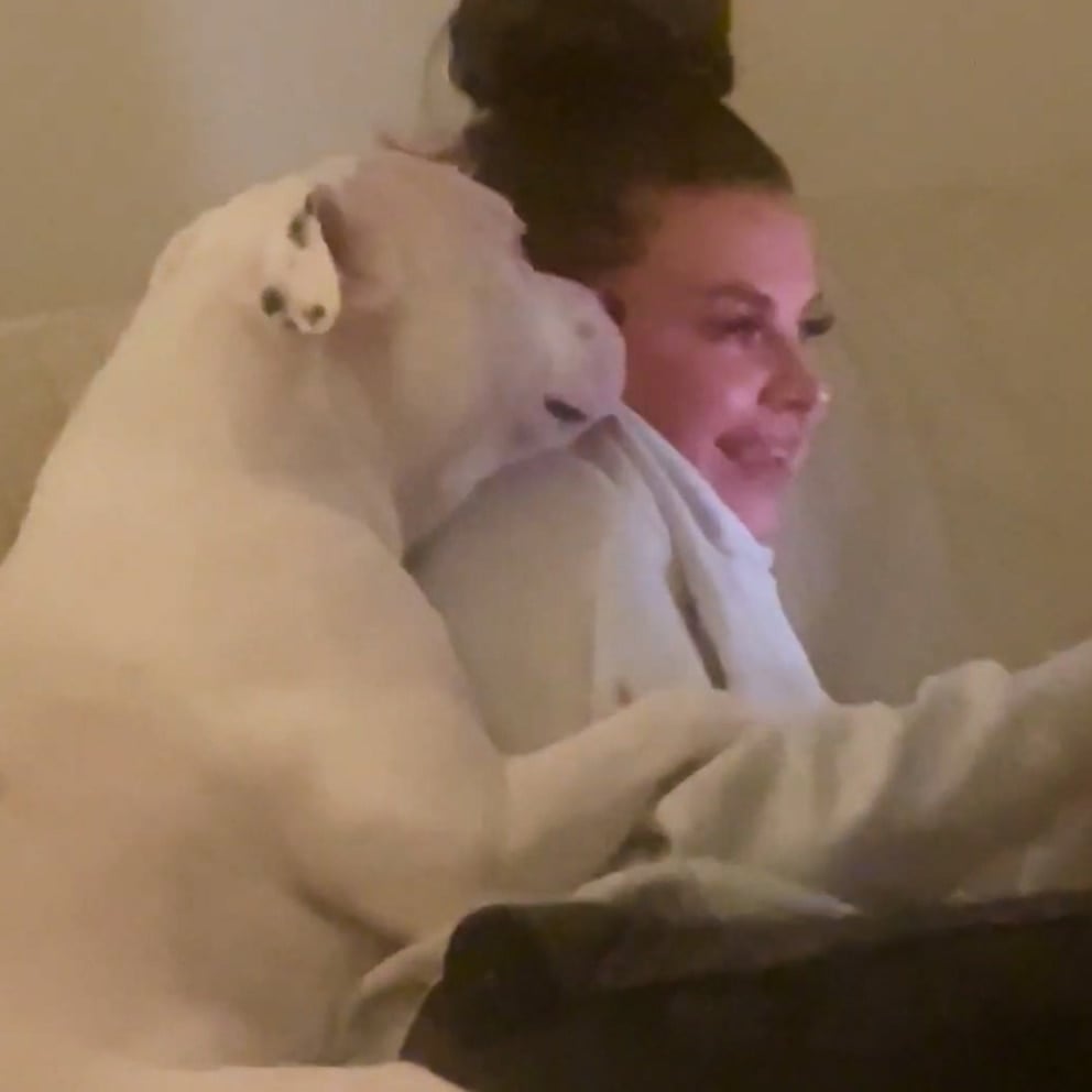 WATCH: Dog sits like a human while cuddling on the couch