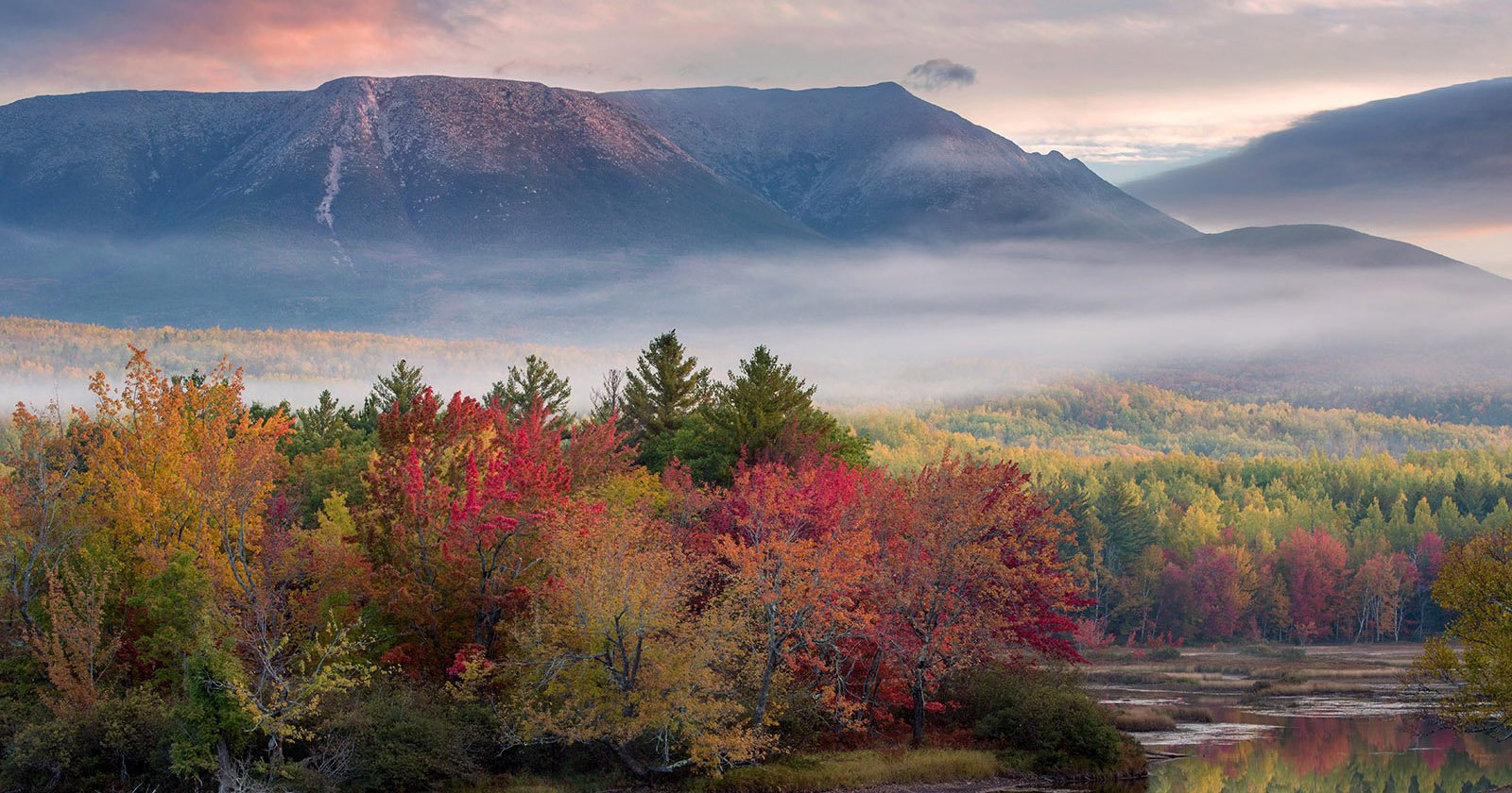 Plan the Perfect Fall Photography Trip With This Interactive Foliage Map