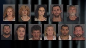 11 arrested after theft investigation in north central Georgia