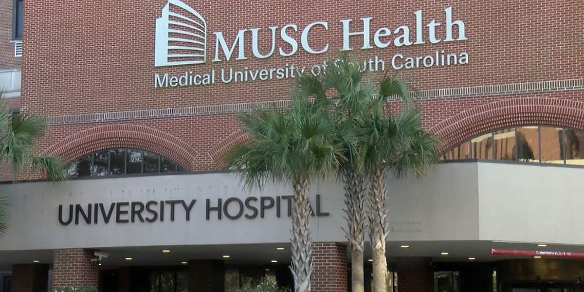 MUSC addresses SC shortage of physical, occupational therapists with new program