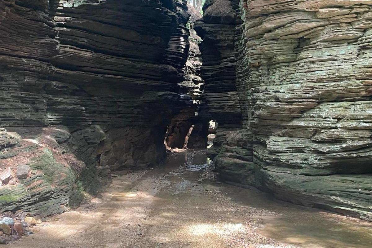 Wisconsin Dells Lost Canyon Horse Tour Is Worth The Money
