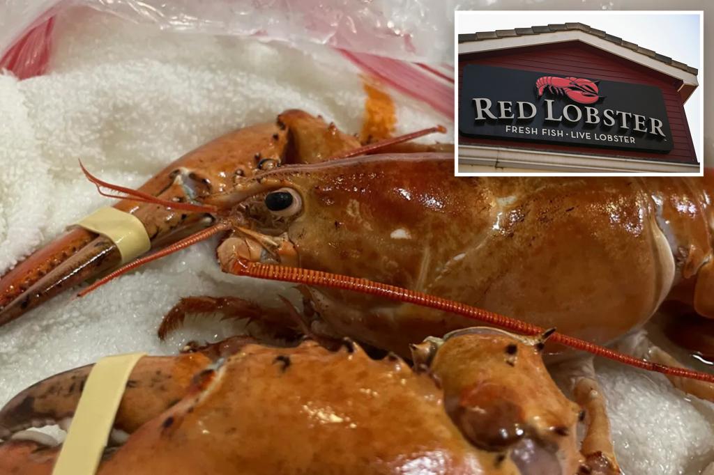 Rare, 1-in-30 million orange lobster accidentally sent to Colorado Red Lobster