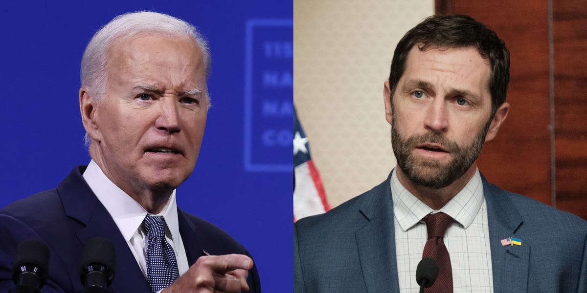Biden took a swipe at skeptical House Democrat's military service during tense Zoom call, report says