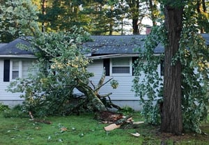 Microburst toppled 150 trees, damaged cars and homes in New Hampshire, NWS says